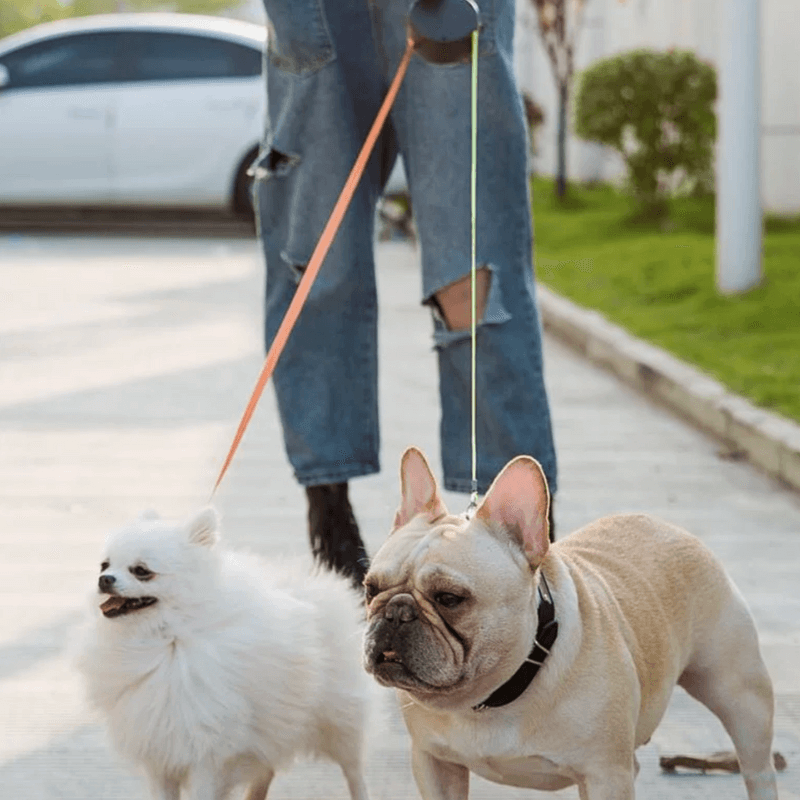 Heart & Hound™️ Retractable Dual Tangle Free Leash
